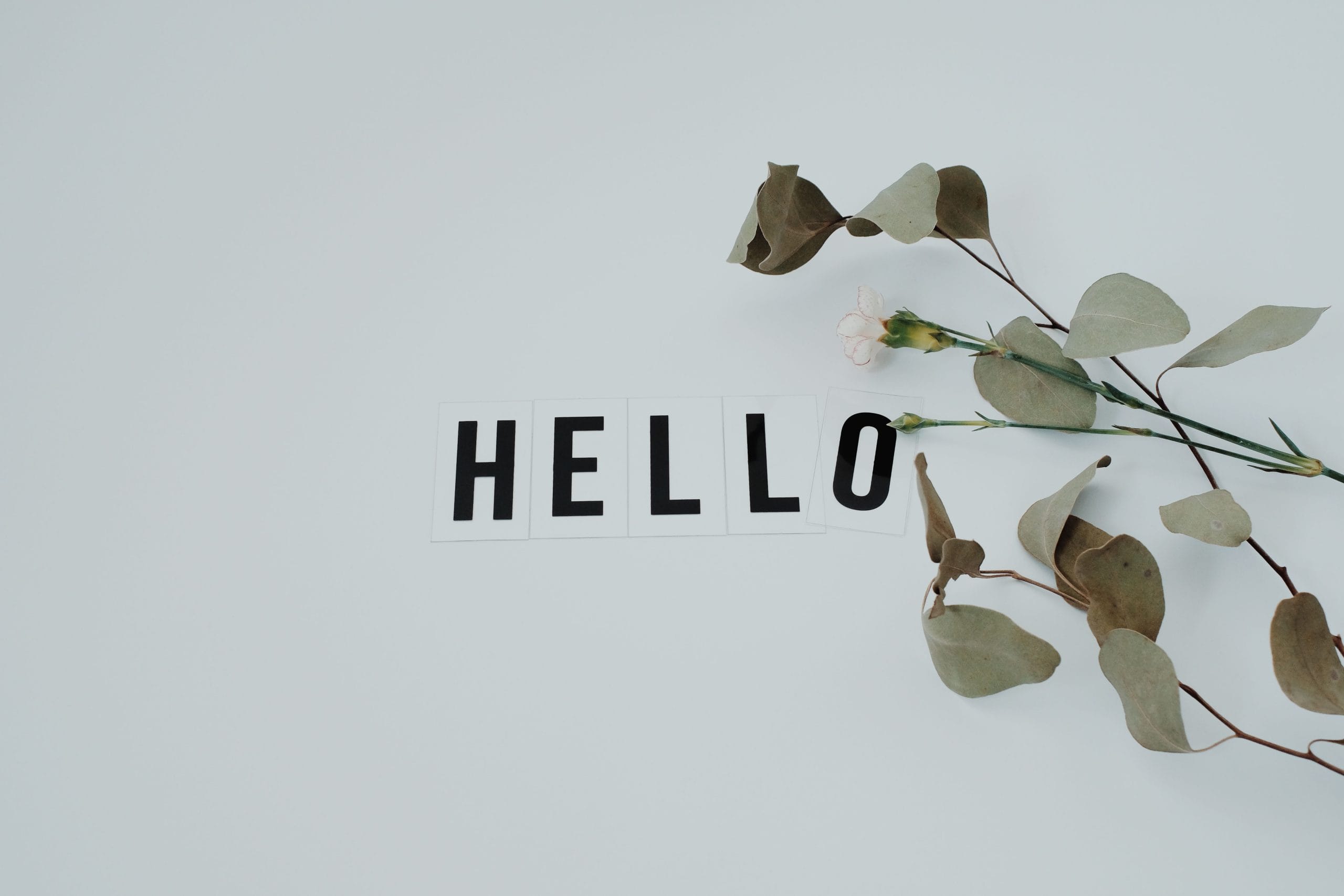 A minimalist flat lay featuring a 'HELLO' note with eucalyptus leaves on a white background.
